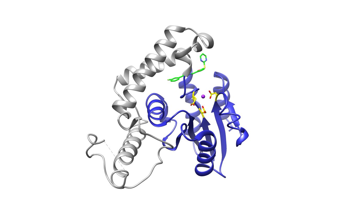 Eya2 Phosphatase Inhibitor